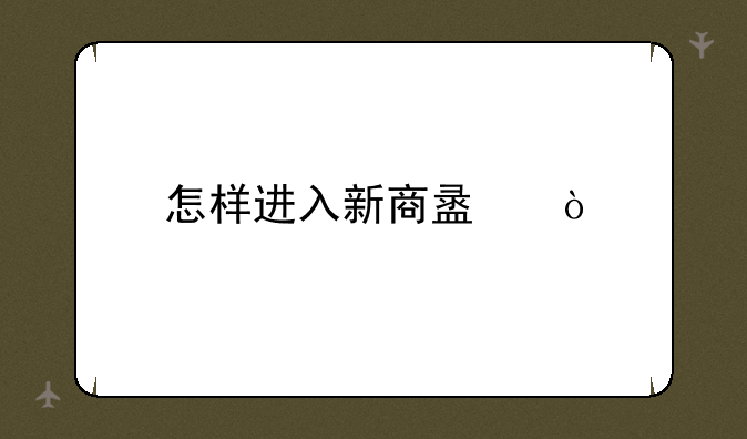 怎样进入新商盟？