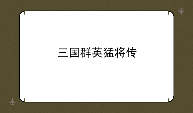 三国群英猛将传