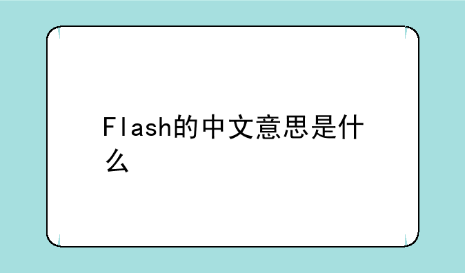 Flash的中文意思是什么