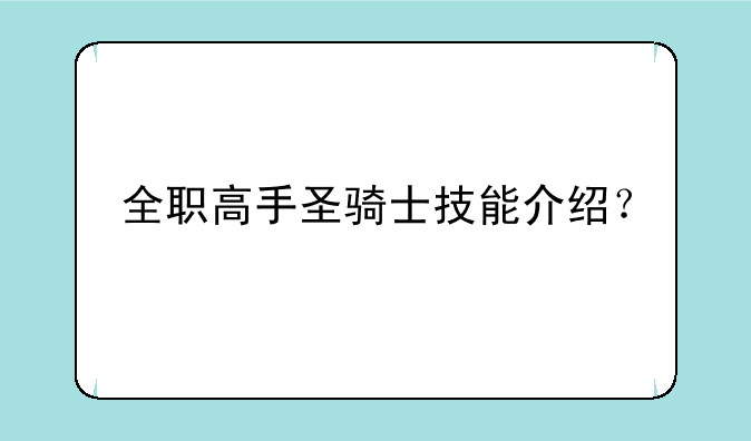 全职高手圣骑士技能介绍？