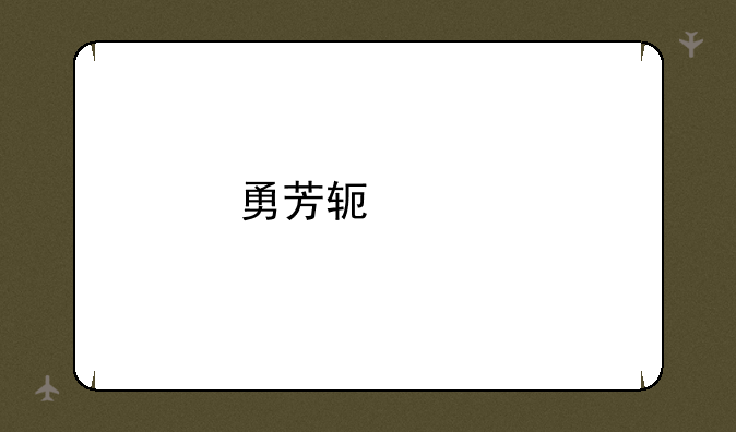 勇芳软件打不上补丁怎么办