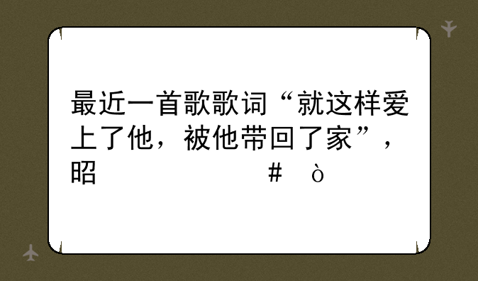 最近一首歌歌词“就这样爱上了他，被他带回了家”，是什么？