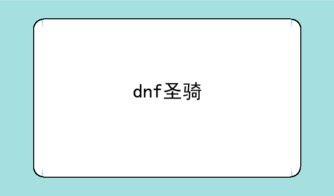 dnf圣骑