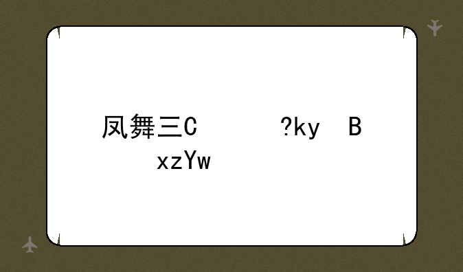 凤舞三国攻略--凤舞三国1.3035u攻略