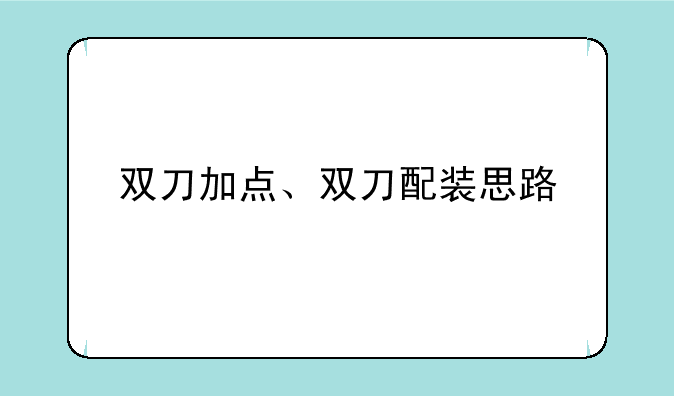 双刀加点、双刀配装思路